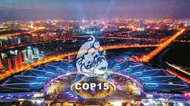 魅视科技护航保障  联合国生物多样性大会(COP15)