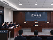数治检法