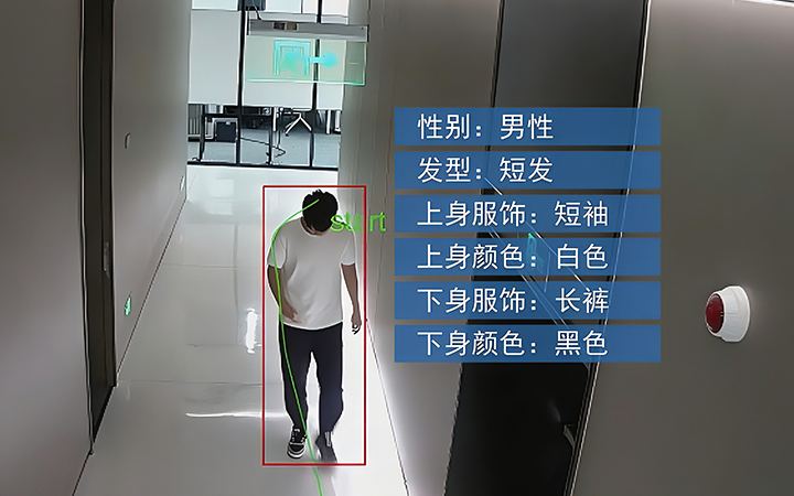 行人属性结构化