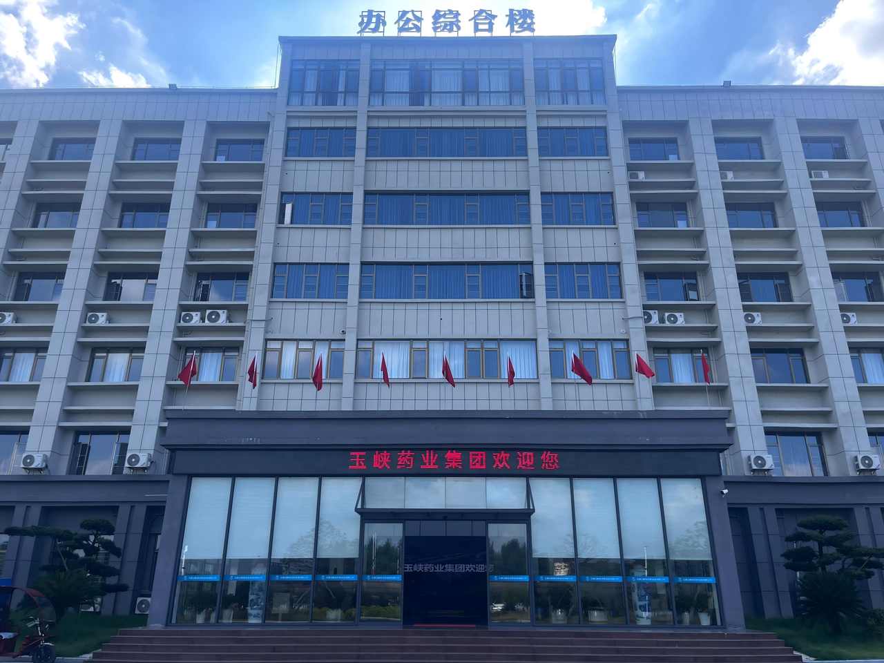 玉峡药业 GMP 智能管控项目
